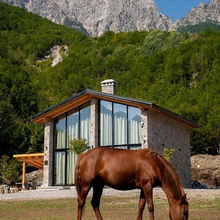 Villa Ujevara E Vogel เธทธ์ ภายนอก รูปภาพ